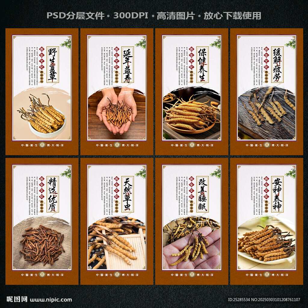 冬虫夏草海报