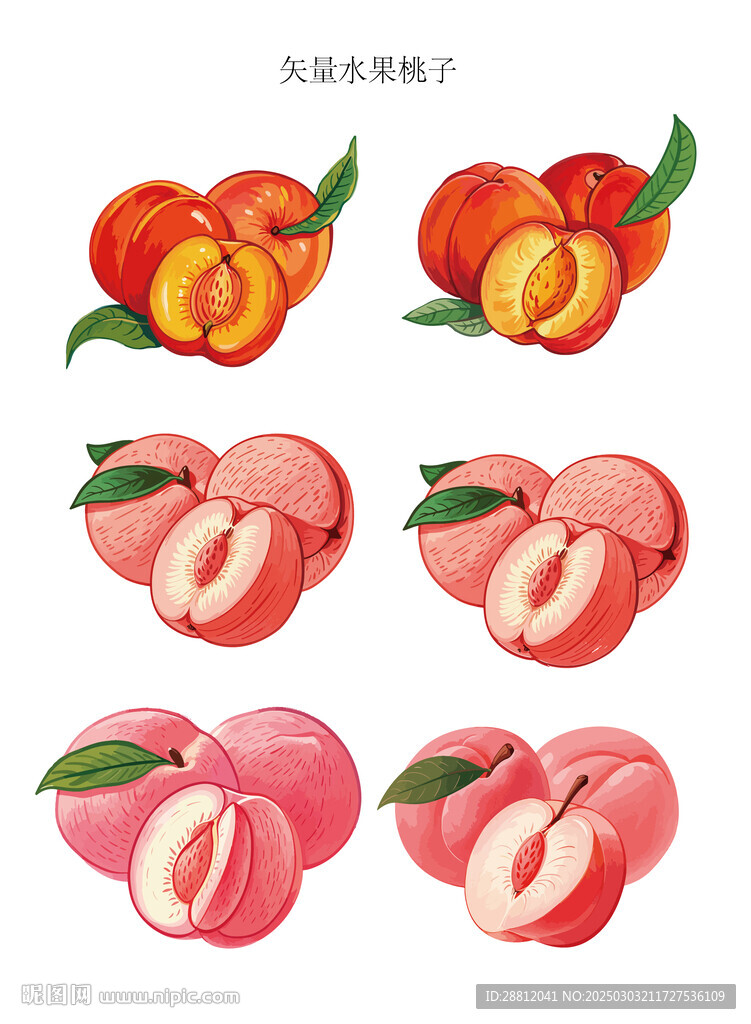 桃子插画