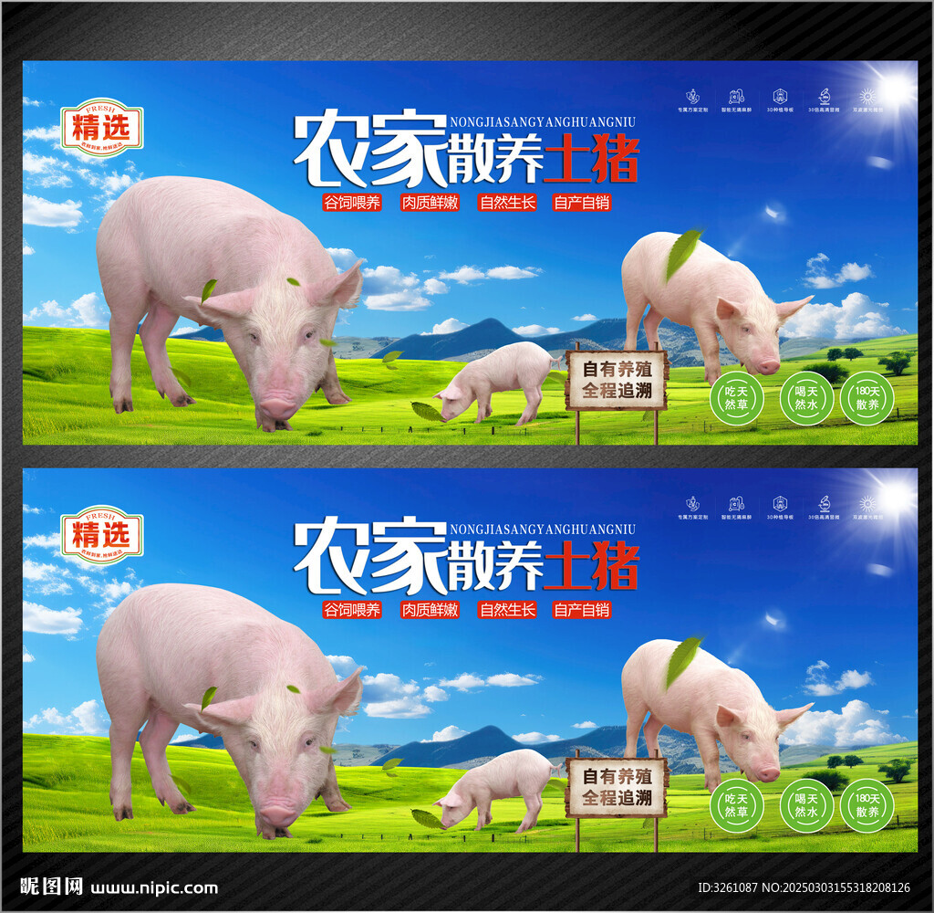 农家土猪展板