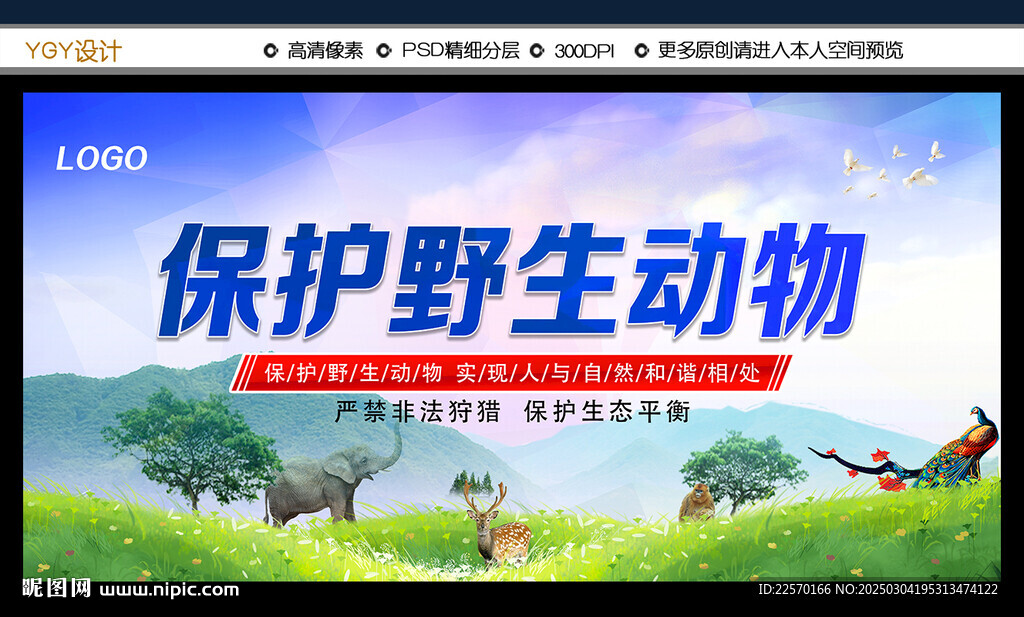 保护野生动物