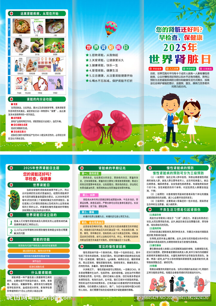 2025年世界肾脏病日折页