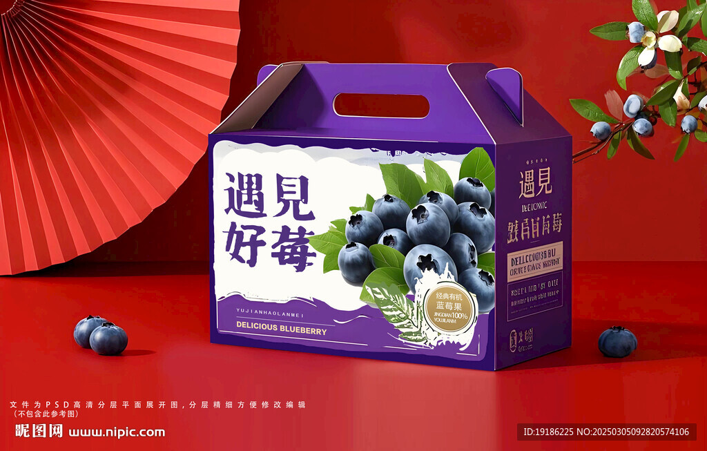 蓝莓包装礼盒
