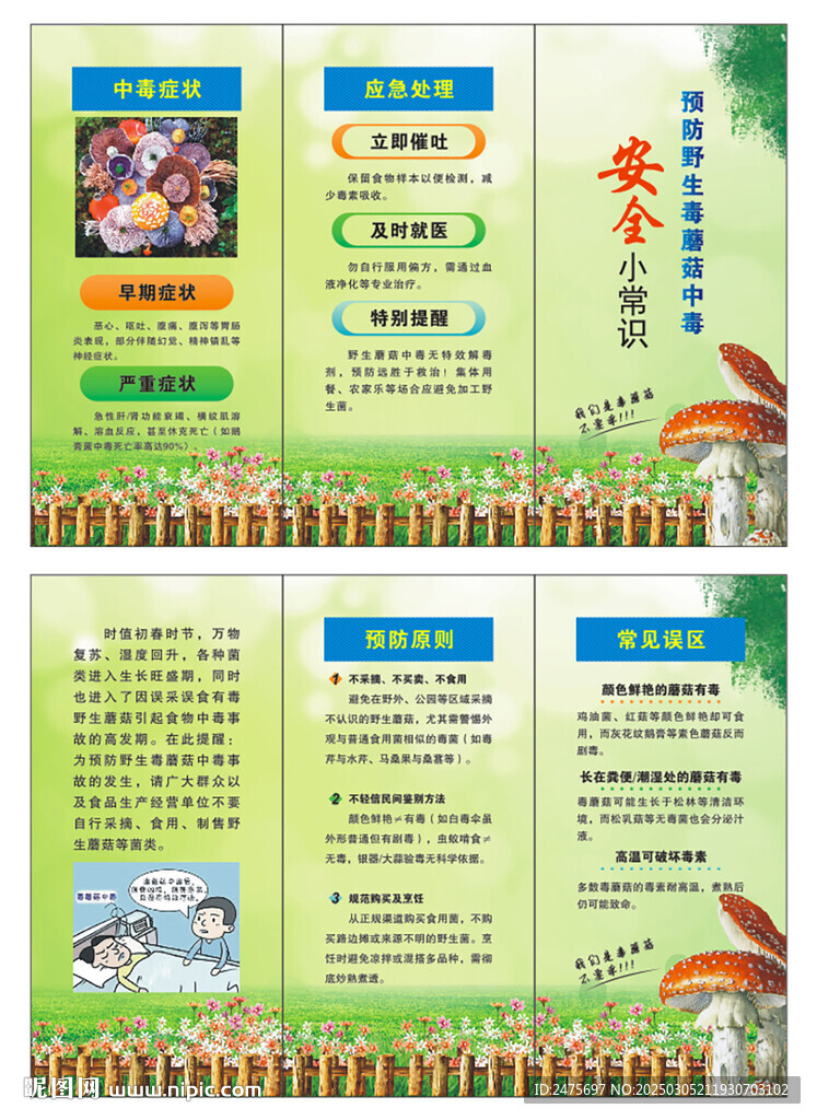 预防野生毒蘑菇
