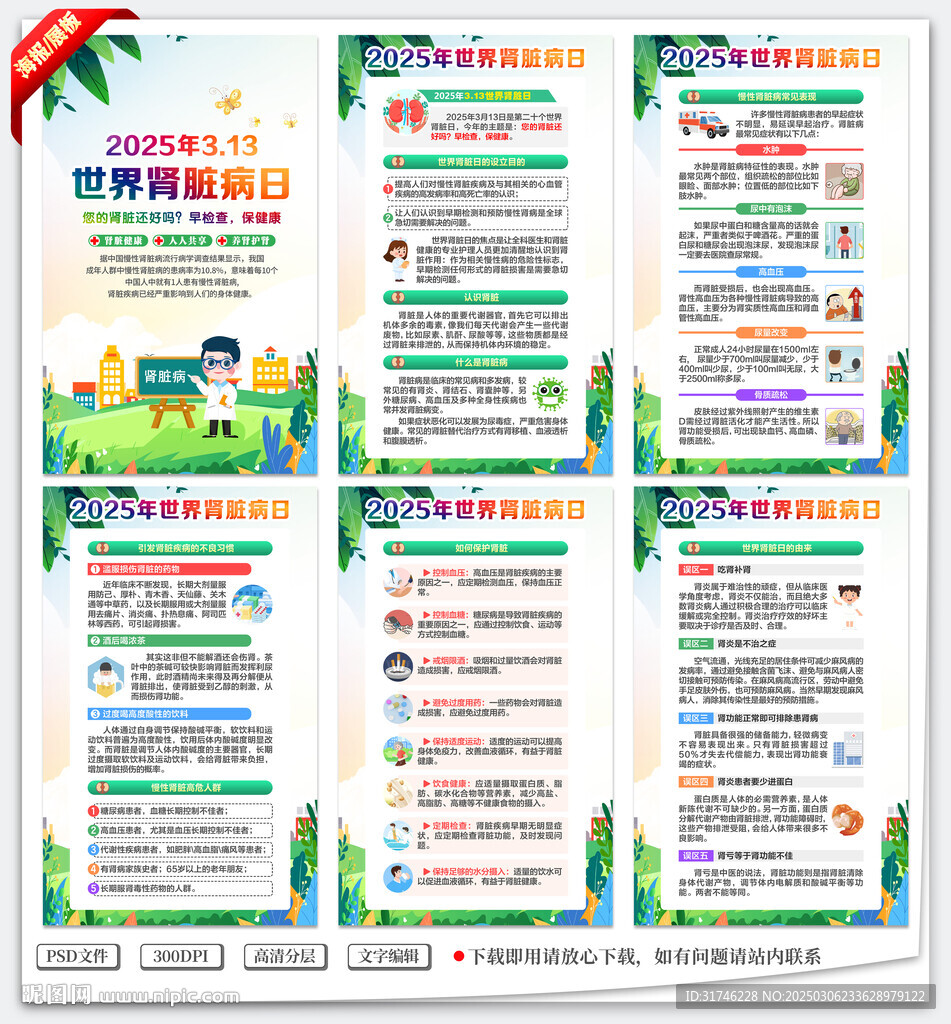 肾脏日展板海报