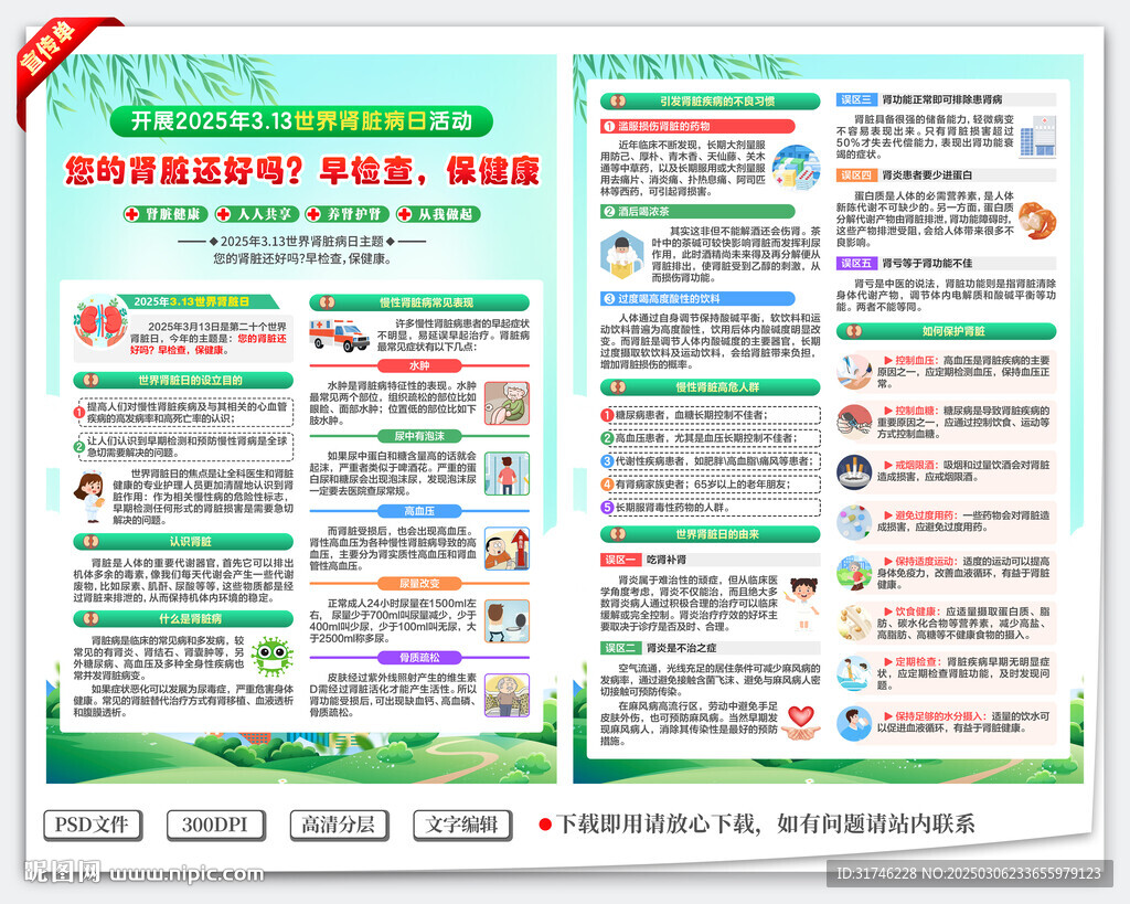 2025年世界肾脏日宣传单