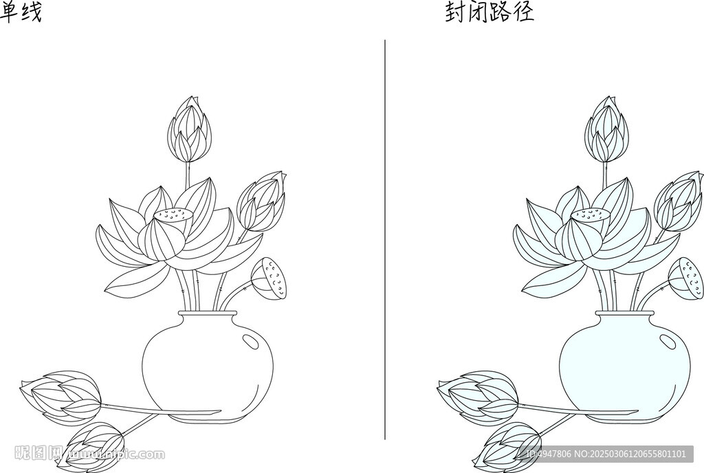 荷花 矢量图