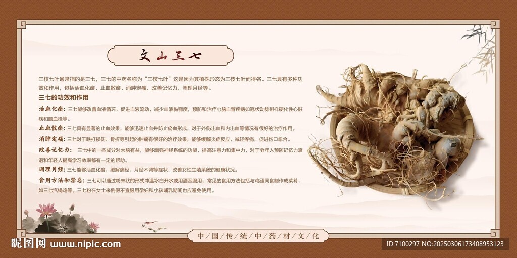三七简介