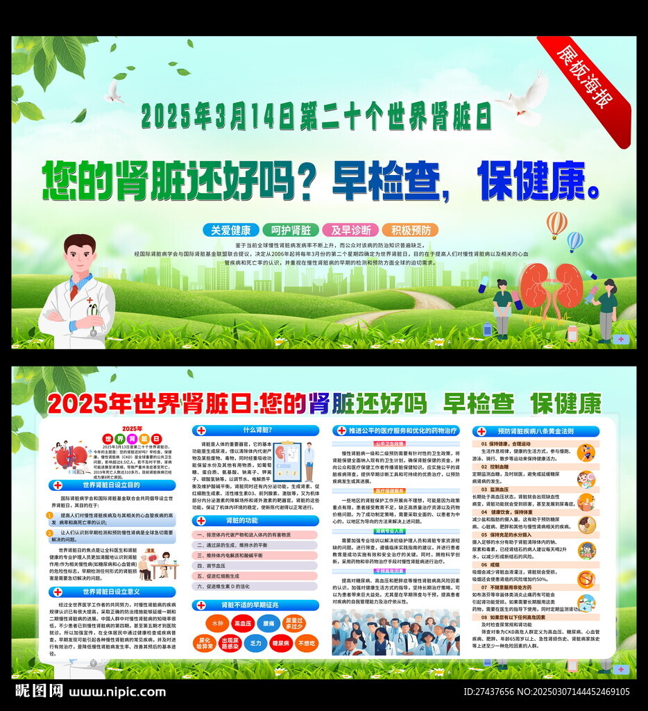 2025年 世界肾脏日 