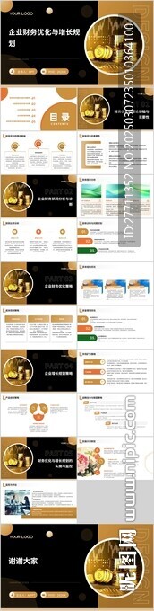 企业财务优化与增长规划