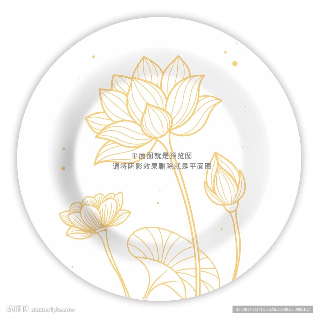 荷花插画