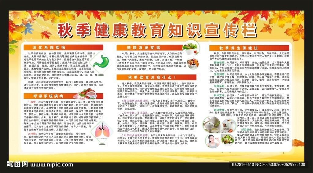 秋季健康教育知识宣传栏