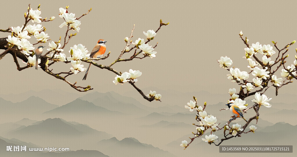 玉兰花