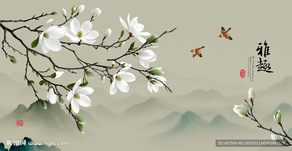 玉兰花