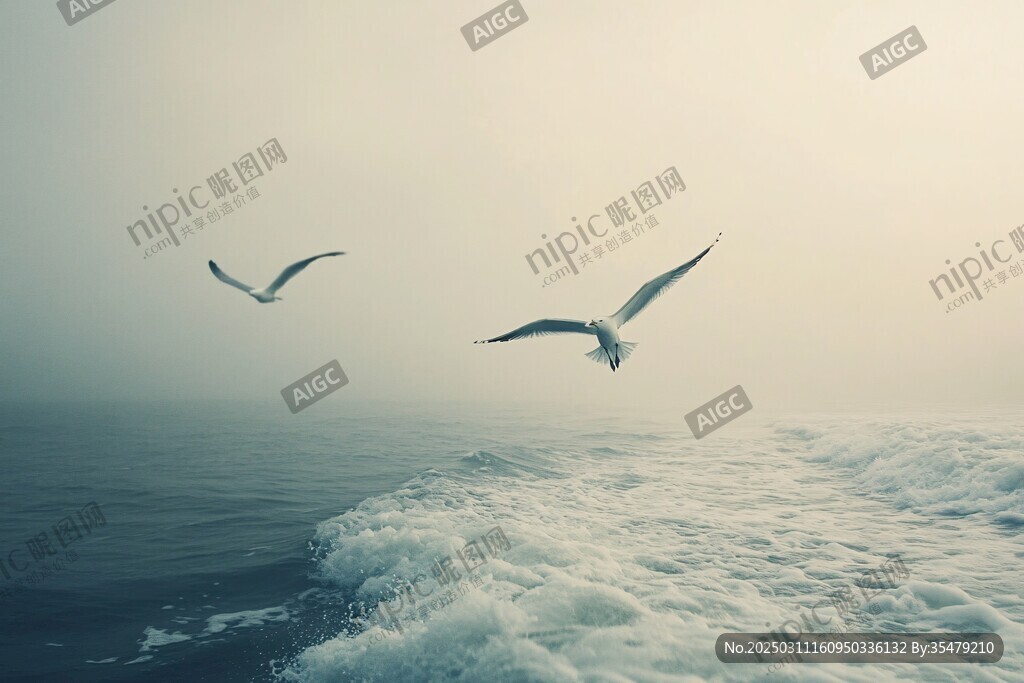 海鸥飞越波涛汹涌的海面