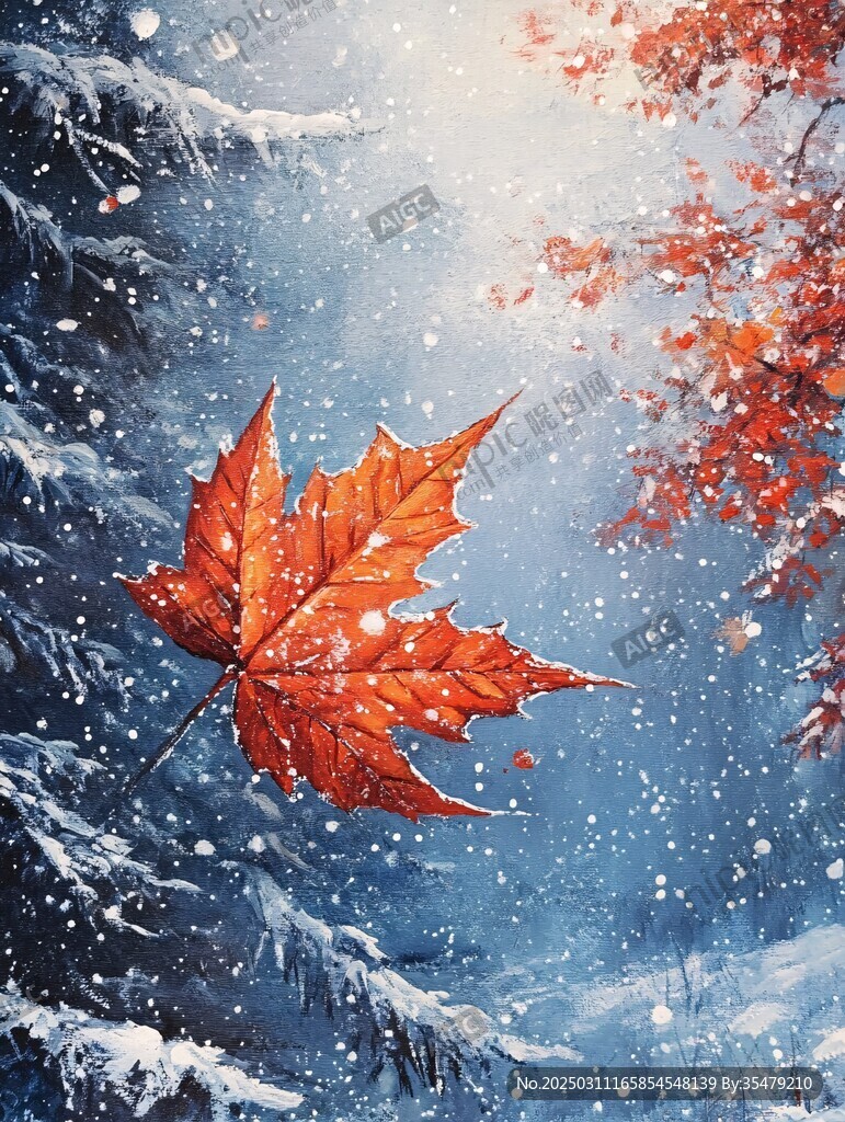 枫叶与雪花