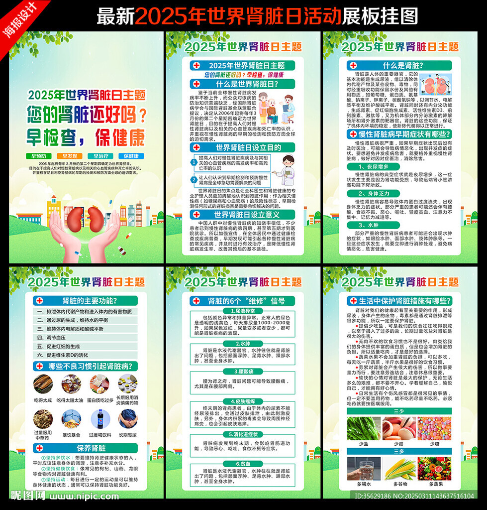 2025世界肾脏病日
