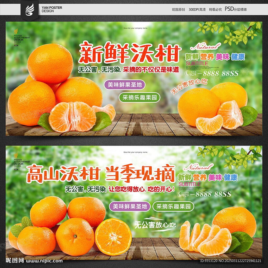 沃柑