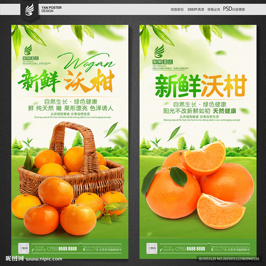 沃柑海报