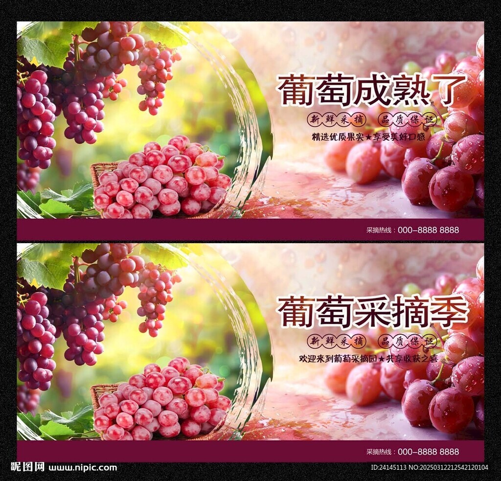 葡萄