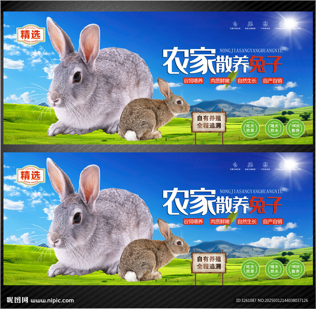 兔子