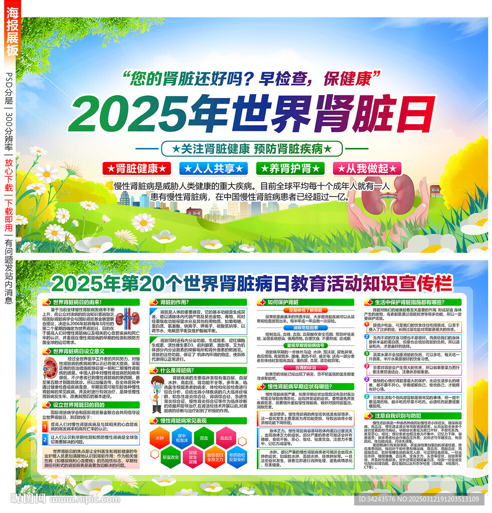 2025年世界肾脏日