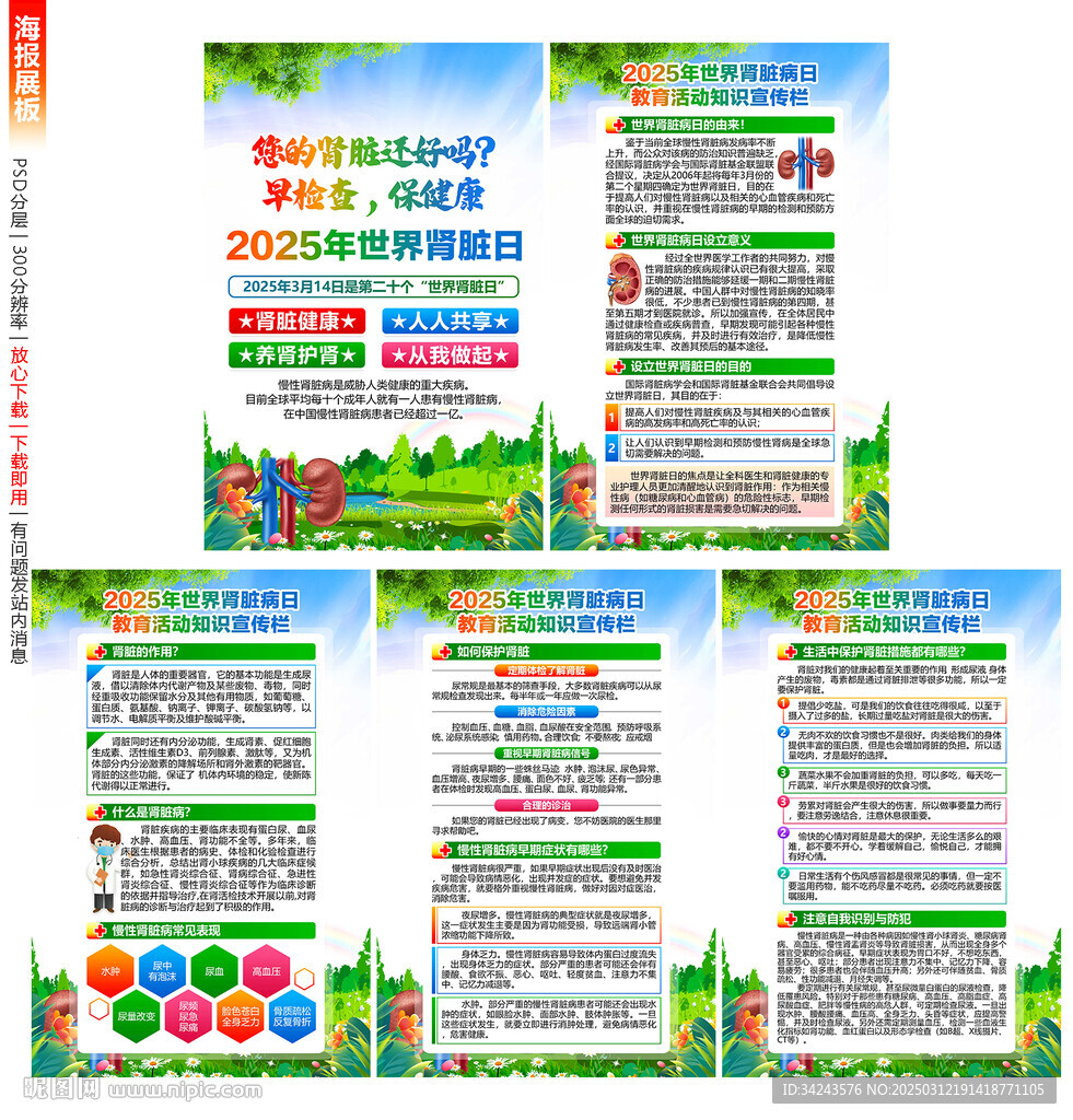 世界肾脏病日