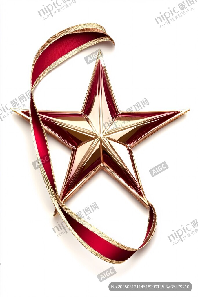 金红星韵圣诞梦