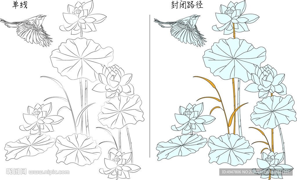 荷花与鸟 矢量图