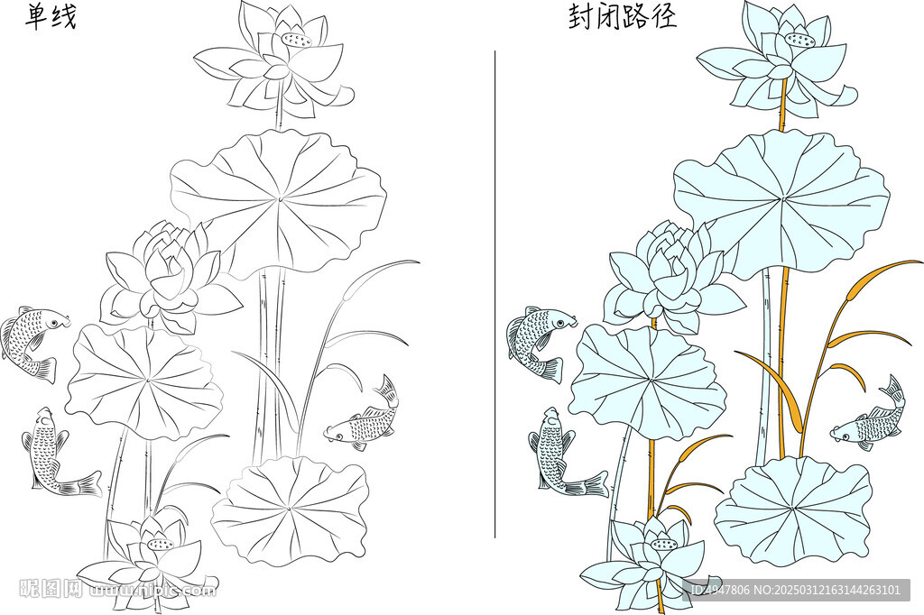 荷花与鱼 矢量图