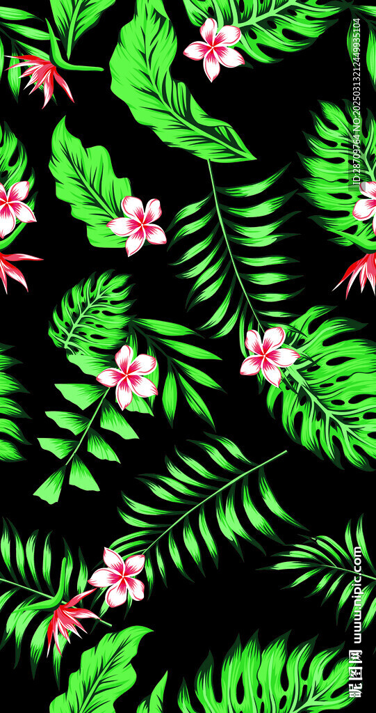 热带花
