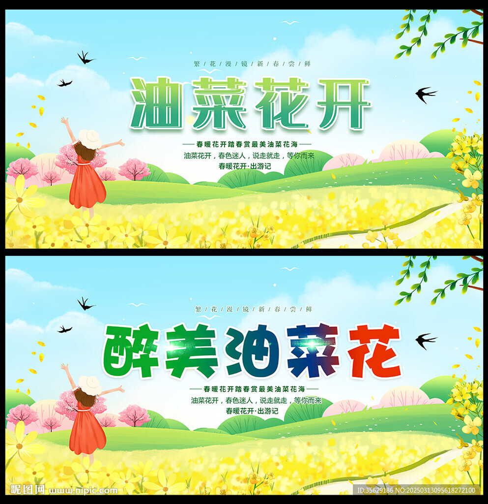 油菜花节