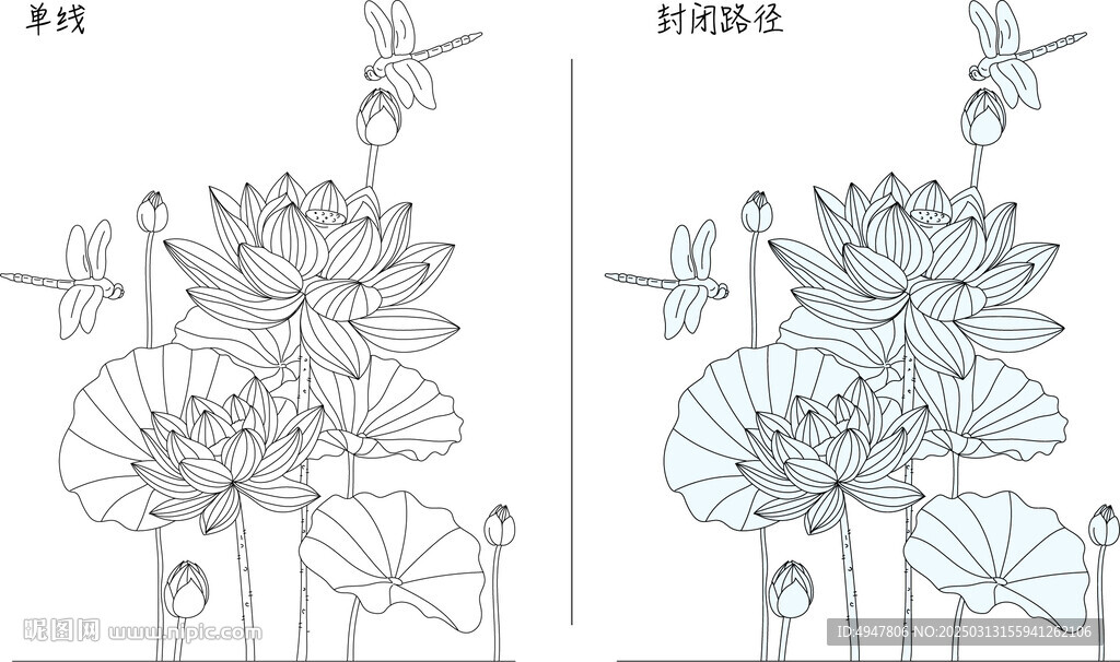荷花与蜻蜓 矢量图