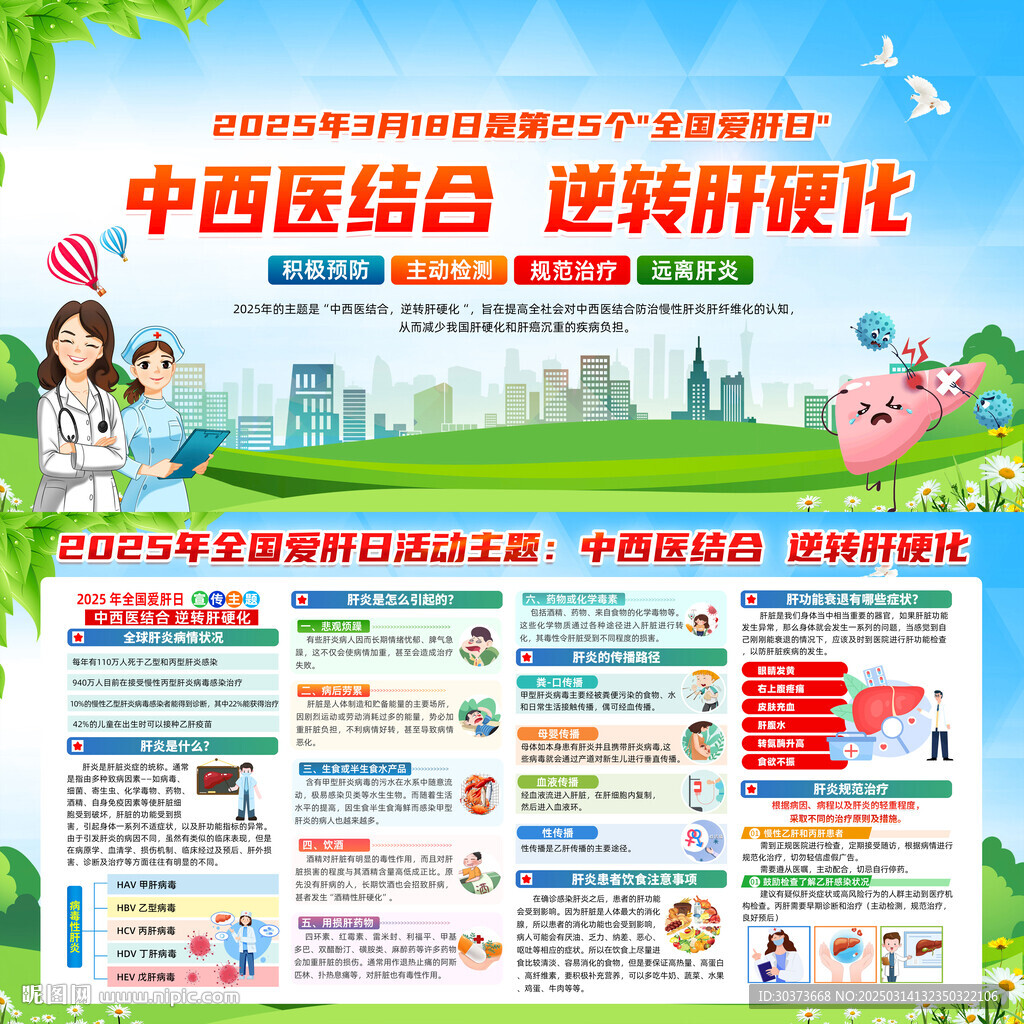 2025年全国爱肝日展板