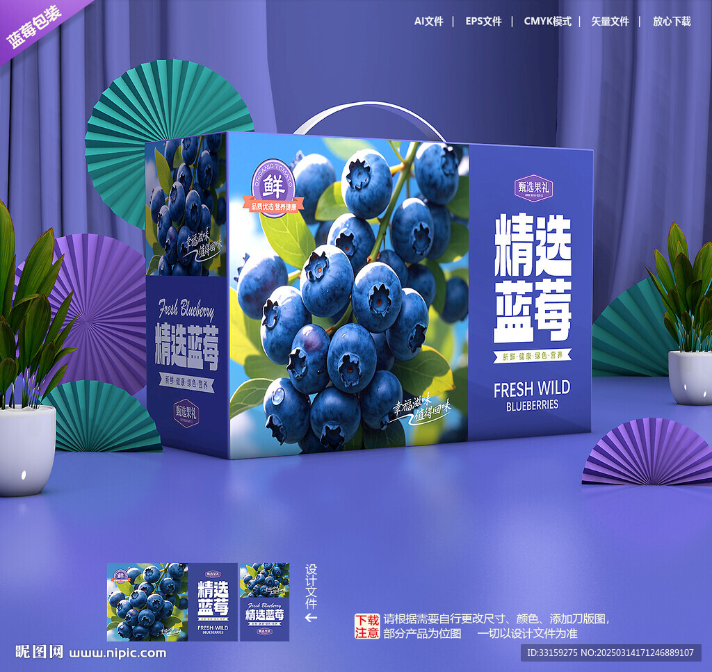 蓝莓包装