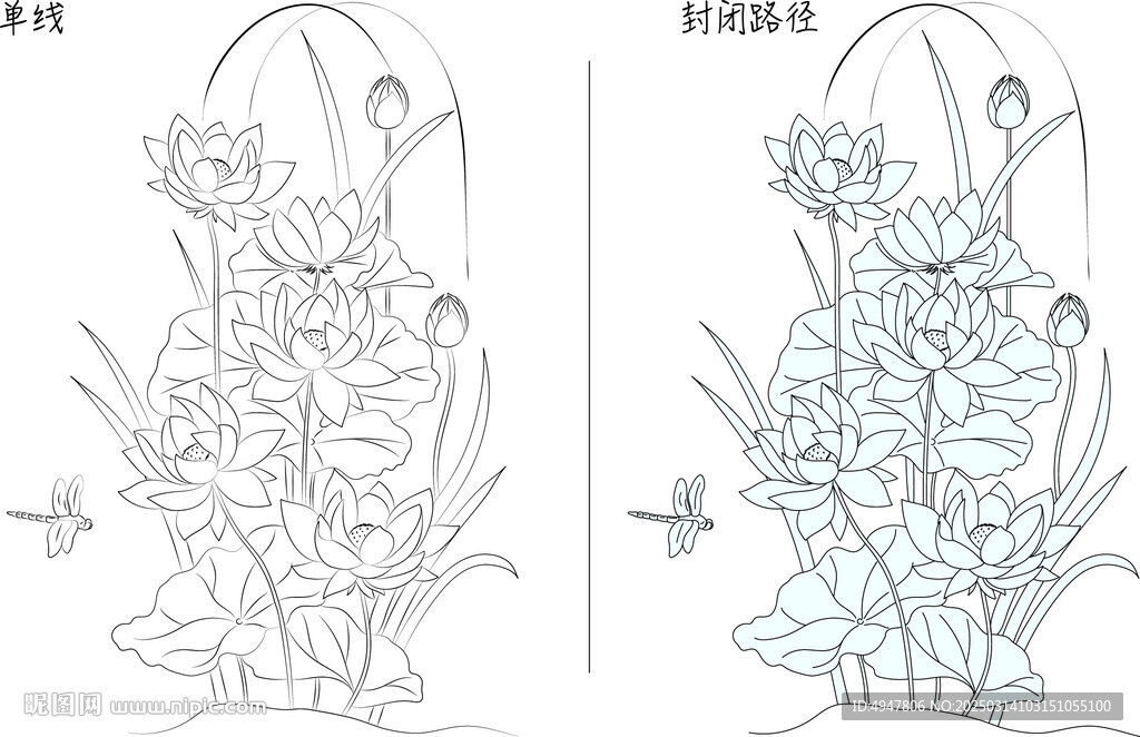 荷花与蜻蜓 矢量图