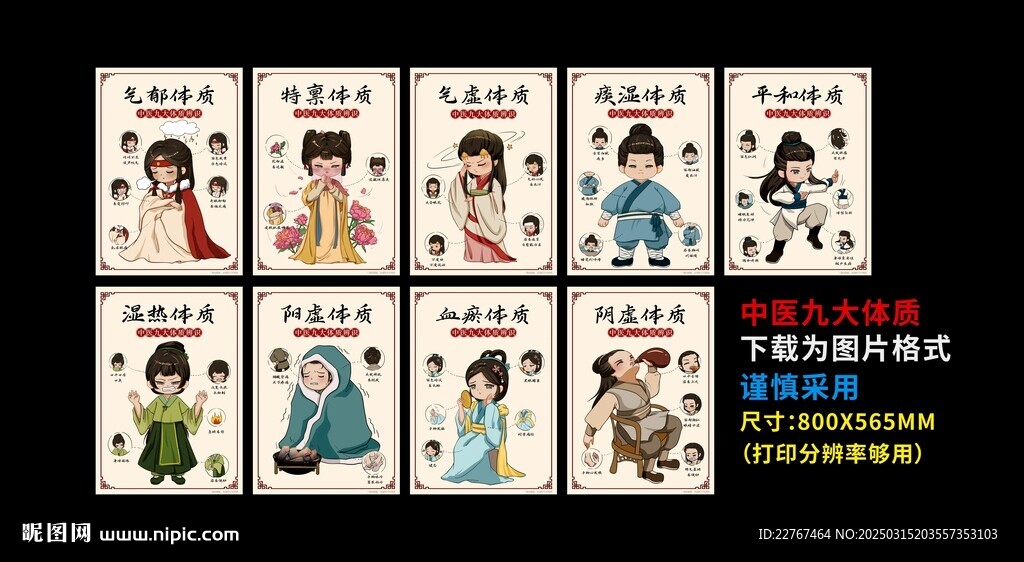  九大体质 