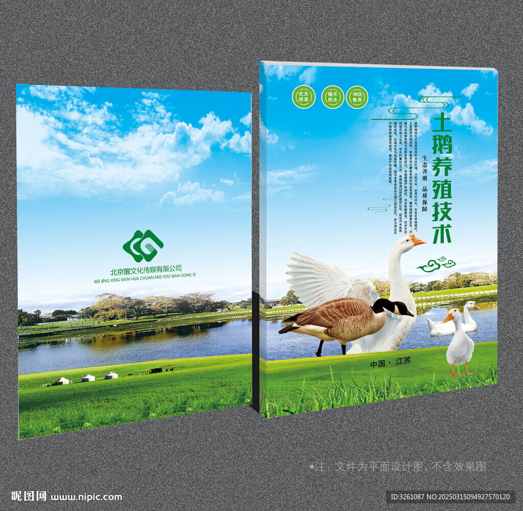 鹅养殖封面