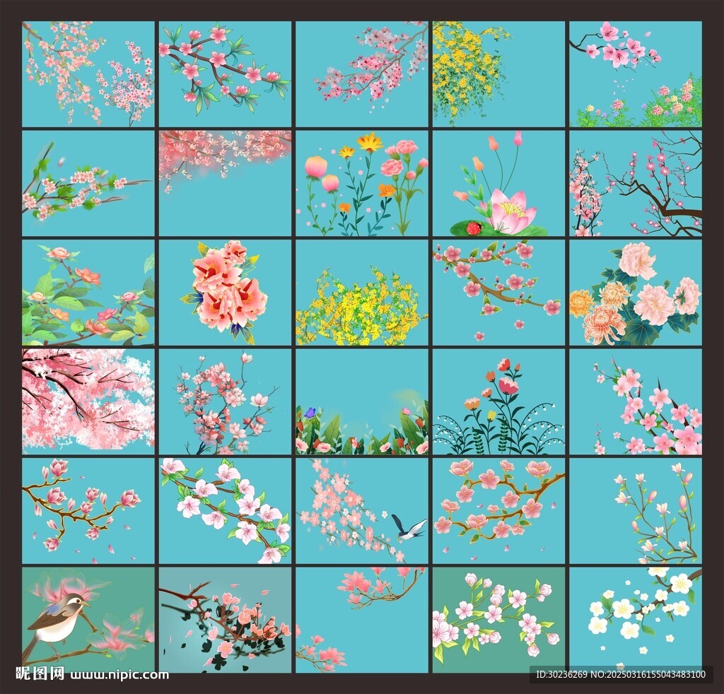 花枝素材图片