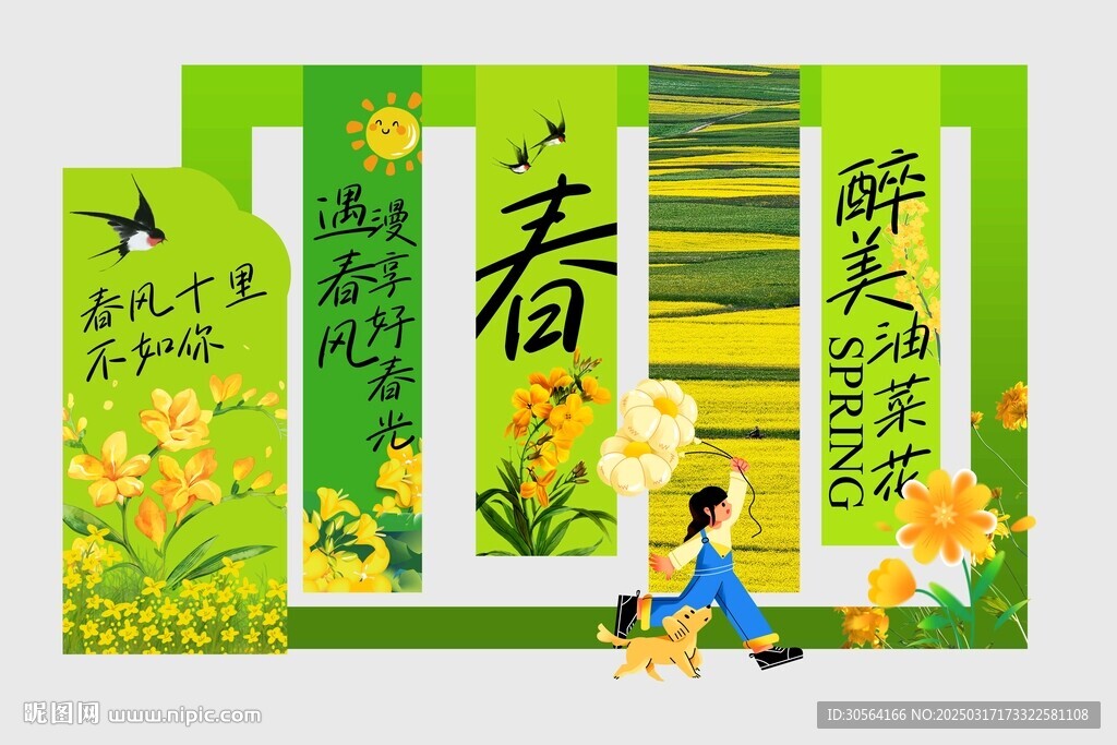 醉美油菜花春季踏青展板美陈
