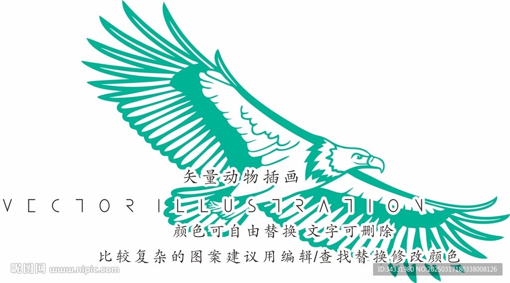 雄鹰