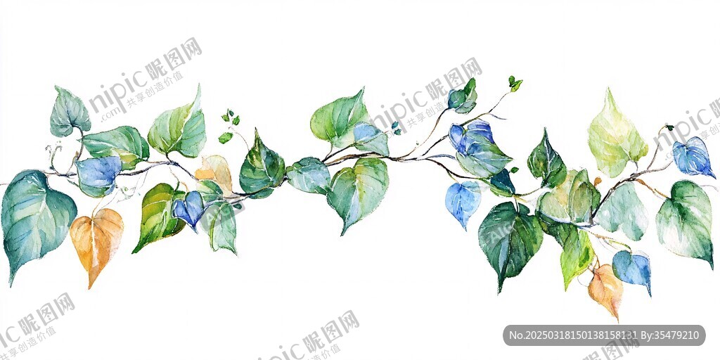 藤蔓植物