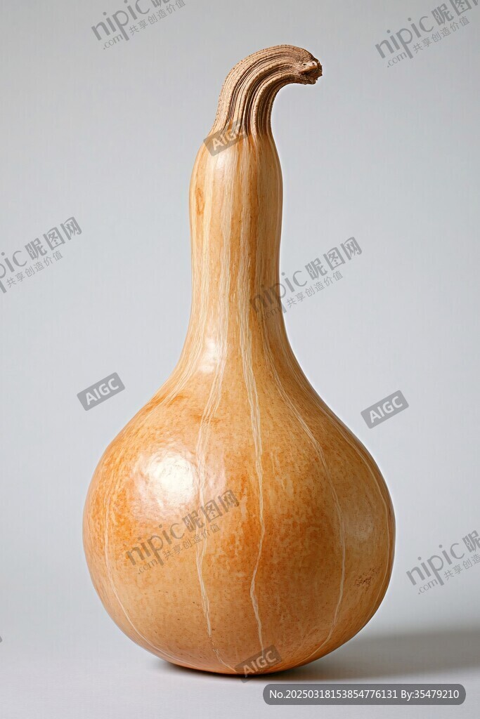 天然葫芦形南瓜