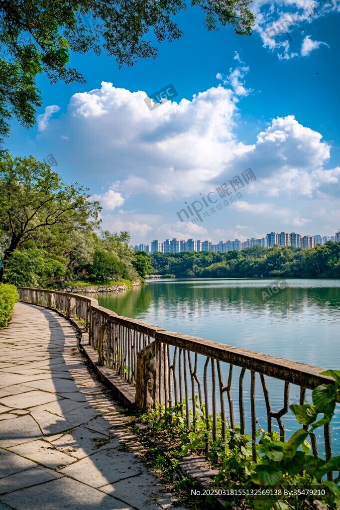 城市湖泊的宁静漫步