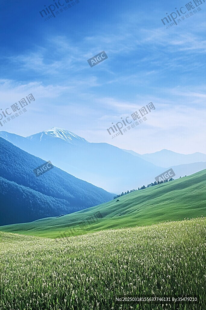 山谷中的绿色草地