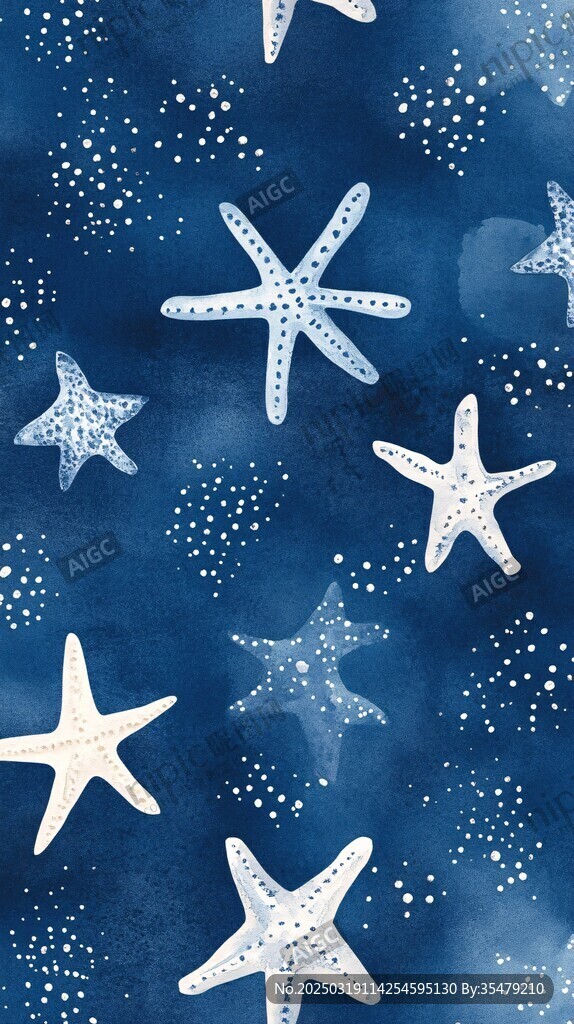 海洋之星的夜空