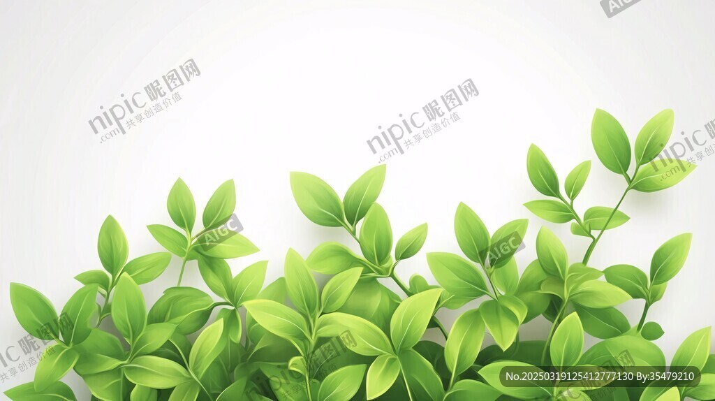 绿色植物叶子背景