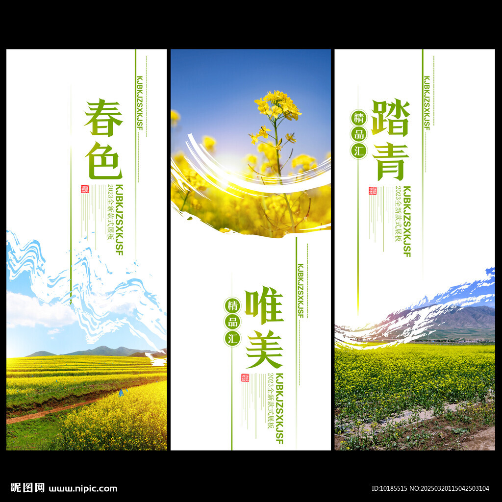 油菜花
