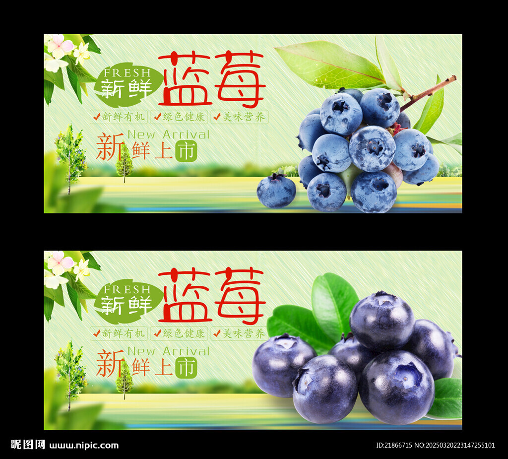 蓝莓
