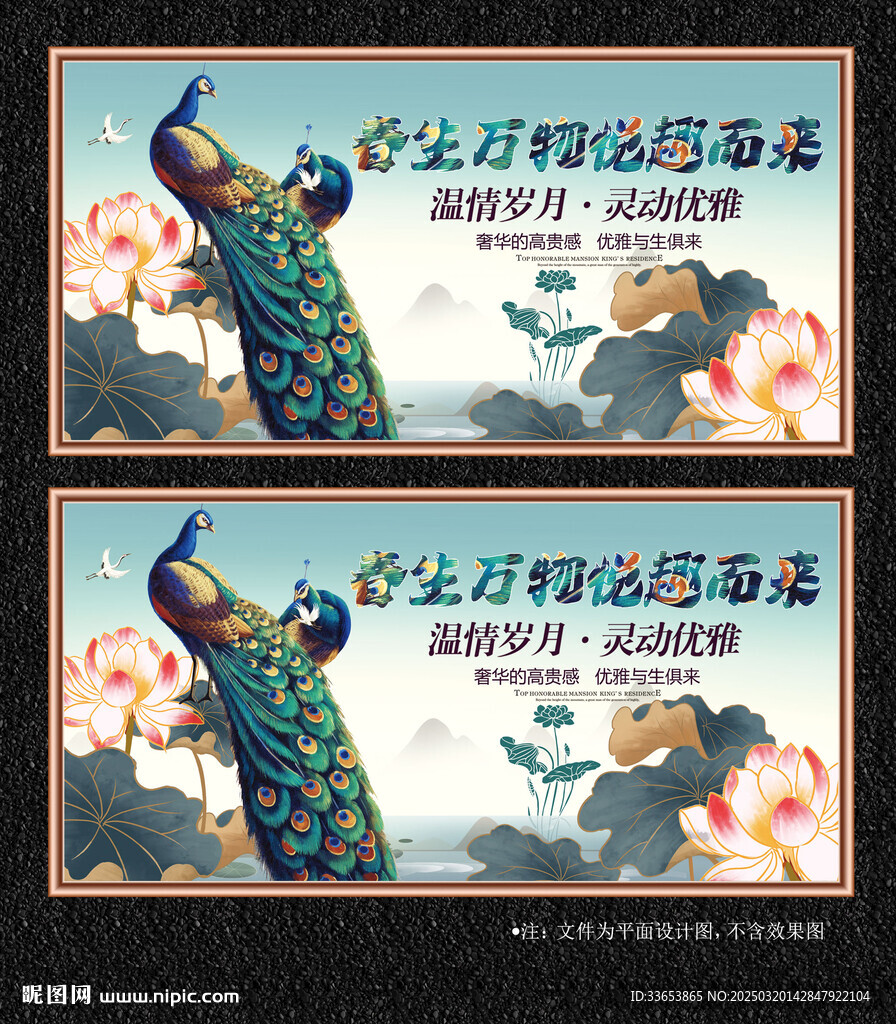孔雀