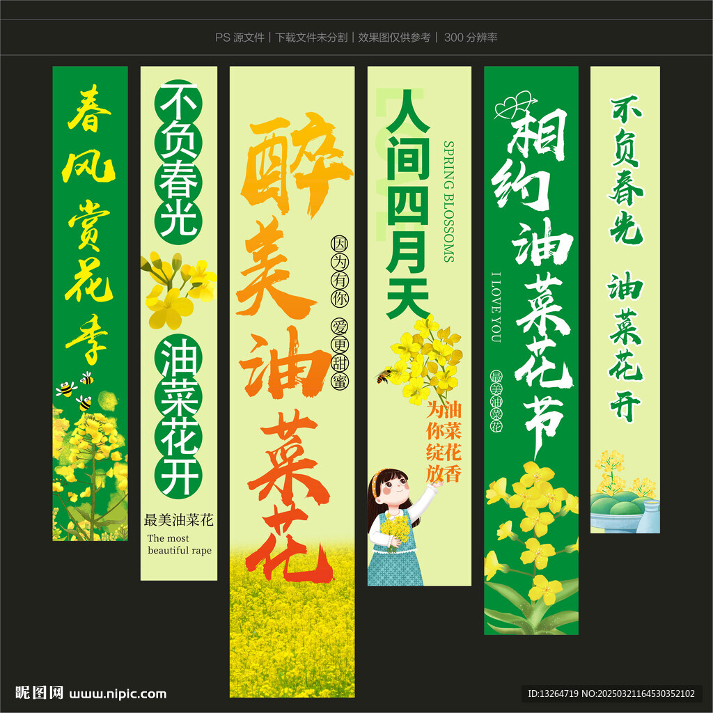 油菜花